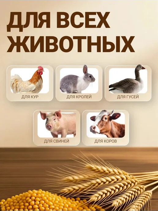 BullDog Зернодробилка электрическая для зерна 410 кг ч 3 СИТА, 410 кг, фото 4