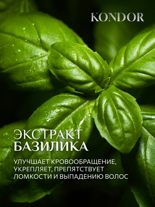 KONDOR Шампунь мужской для волос и тела увлажняющий, 300 мл, фото 7
