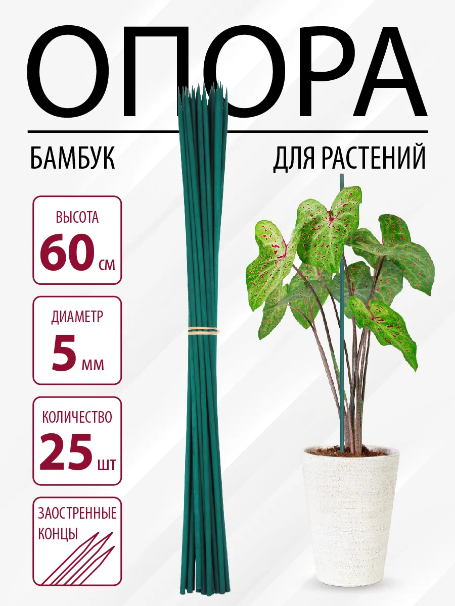 Опора бамбуковая для комнатных растений зеленая 60см, 25 шт