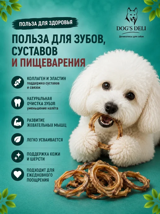 DOG’S DELI Трахея говяжья кольцами Лакомства для собак 100 гр, 100 г, фото 4