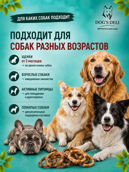 DOG’S DELI Трахея говяжья кольцами Лакомства для собак 100 гр, 100 г, фото 5