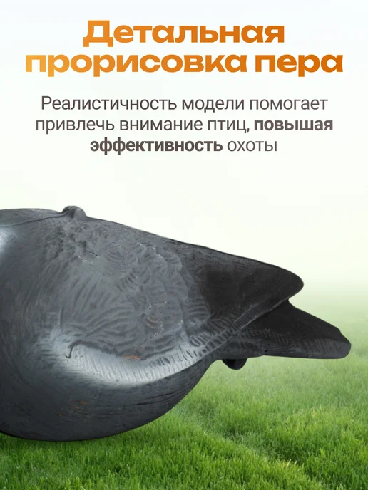 Дикий Гид Чучела Голубь Вяхирь для охоты 5 шт, 5 шт, фото 4
