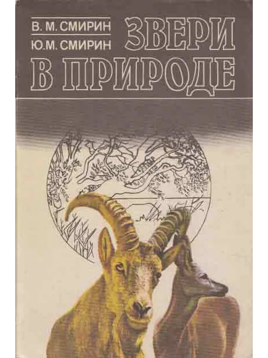 Звери в природе