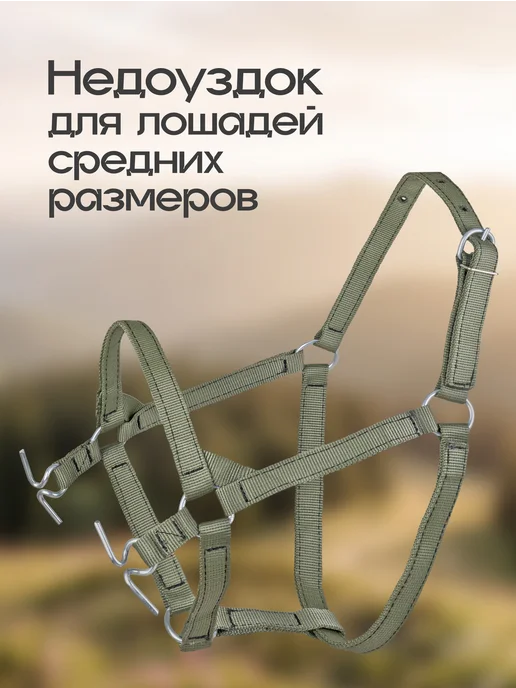 REITER Недоуздок-узда для лошадей с барашками 25 мм, зеленый, фото 4
