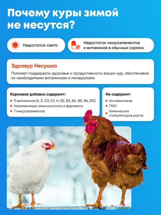 Ваше Хозяйство Здравур для кур-несушек 1,5кг (премикс), 1,5 кг, фото 2