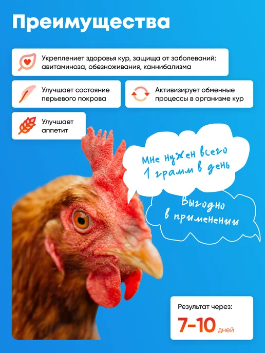Ваше Хозяйство Витамины для кур несушка для яйценоскости здравур 1500 г, 1,5 кг, 2 шт, фото 3
