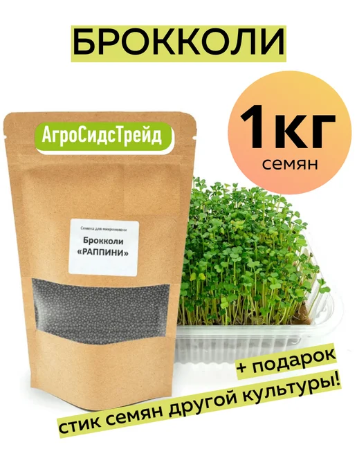 Агросидстрейд Брокколи Рапини. 1 кг для микрозелени, 1 кг, фото 2