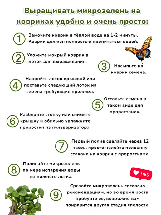 Агросидстрейд Брокколи Рапини. 1 кг для микрозелени, 1 кг, фото 3