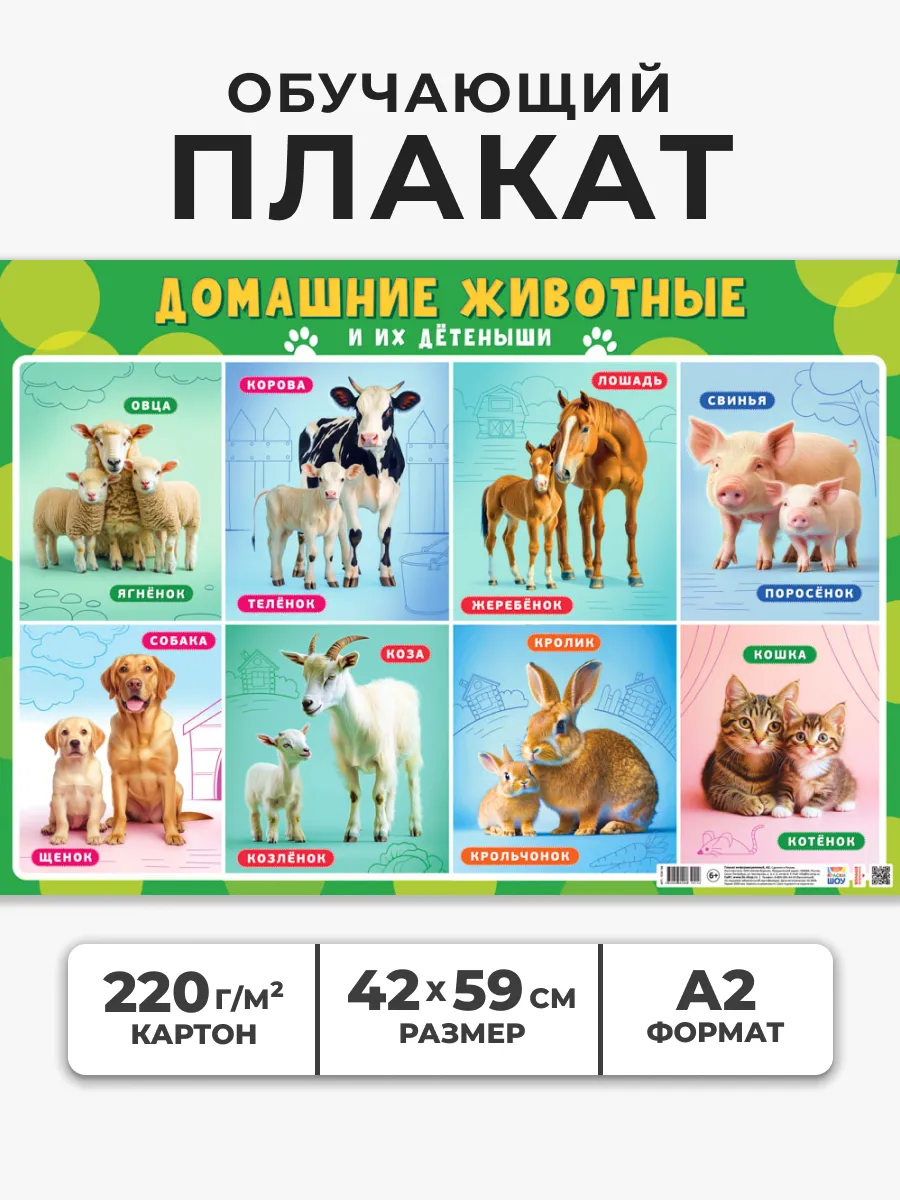 Обучающий плакат Домашние животные и их детёныши А2