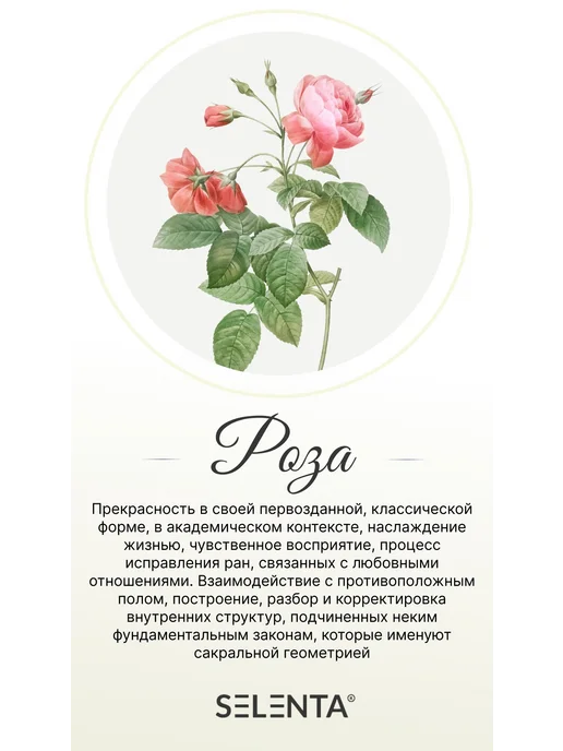 Selenta Эфирное масло Розы 100% 30мл, 30 мл, фото 3