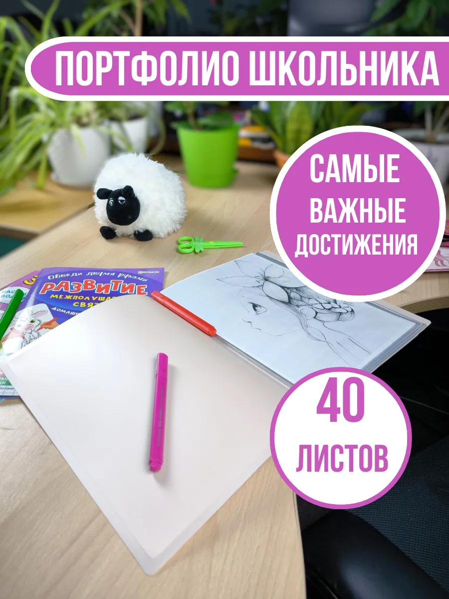 Папка портфолио школьника на 40 листов