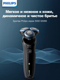 Электробритва S5066 Philips 296029063 купить за 8 091 ₽ в интернет-магазине Wildberries