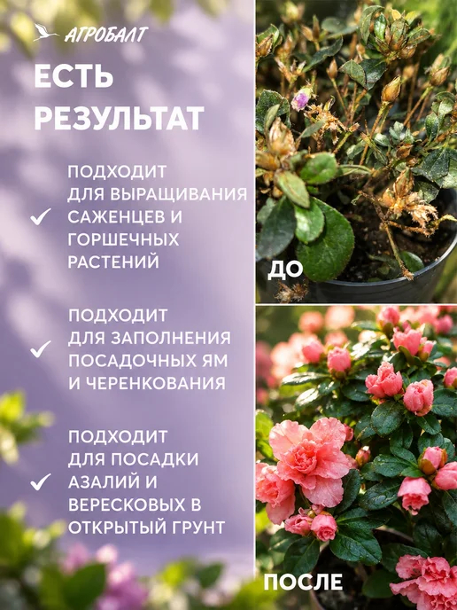 Агробалт Грунт для рододендронов, земля вересков и азалий 35 литров, вариант, фото 4
