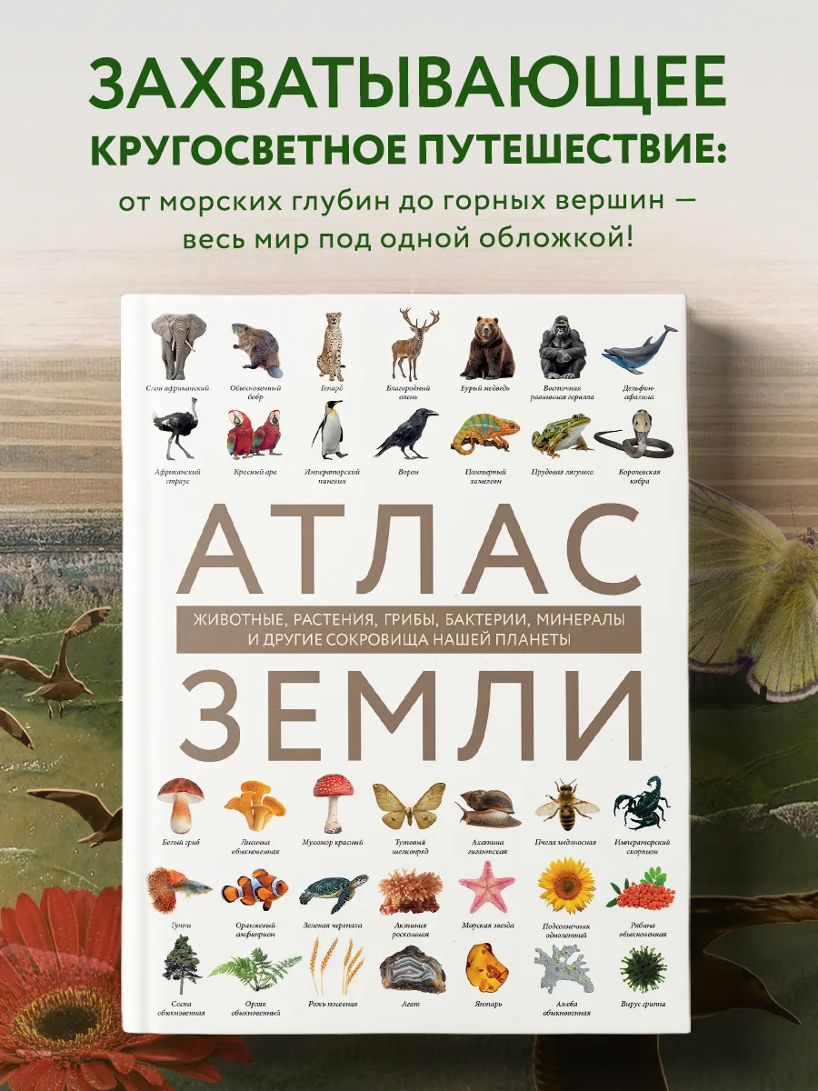 Атлас Земли. Животные, растения, грибы, бактерии, минералы и