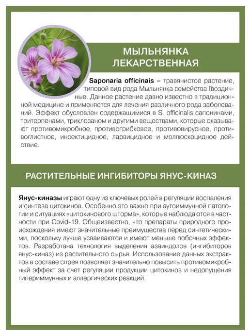 НИЦ ИММУНОЛОГИИ И АЛЛЕРГОЛОГИИ Противовирусное средство для оздоровления, 15 мл, 3 шт, фото 5
