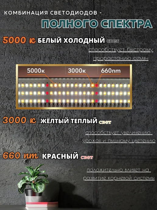 Эвтюмия Фитолампа для растений и рассады полного спектра, вариант, фото 2