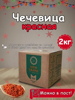 Чечевица красная 2 кг для супов и гарниров ALTAI GRAINS 296562094 купить за 310 ₽ в интернет-магазине Wildberries