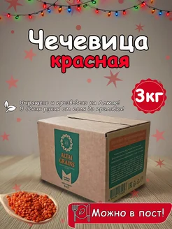 Чечевица красная 3 кг для супов и гарниров ALTAI GRAINS 296562095 купить за 469 ₽ в интернет-магазине Wildberries