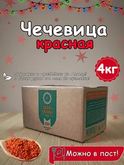 Чечевица красная 4 кг для супов и гарниров ALTAI GRAINS 296562096 купить за 595 ₽ в интернет-магазине Wildberries