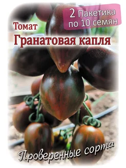 Томат - Гранатовая капля - 2 пакета Проверенные семена 296725434 купить за 164 ₽ в интернет-магазине Wildberries