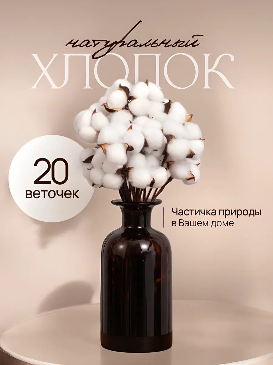 Хлопок сухоцвет для декора 20 шт белый