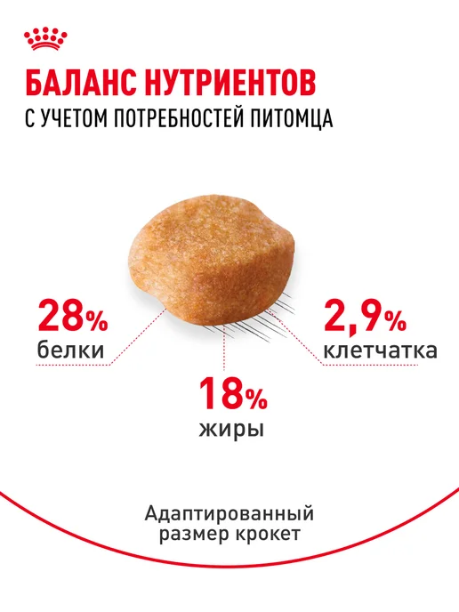 Сухой корм Royal canin Йоркширский Терьер для собак, взрослые, 1,5 кг, фото 4