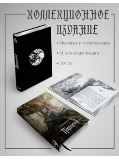 Птицеед. Коллекционное издание Alpaca 296853402 купить за 1 435 ₽ в интернет-магазине Wildberries