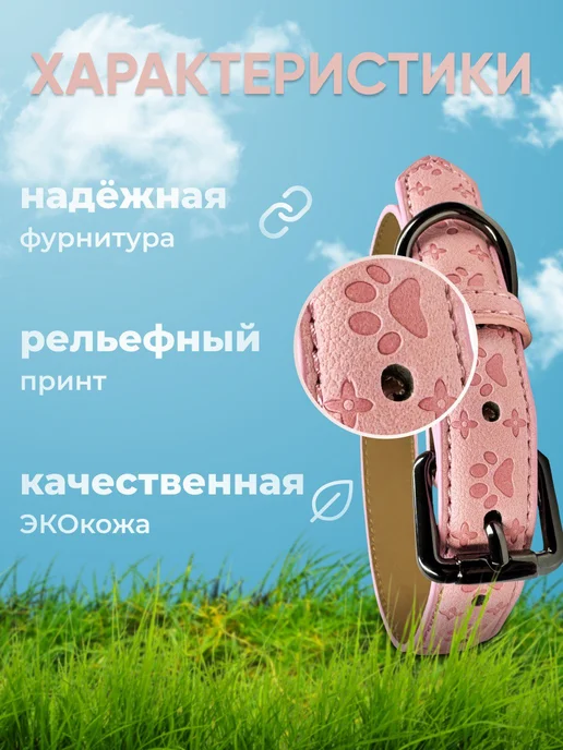 Zelie pets Ошейник для собак средних пород и щенков розовый экокожа, розовый, фото 2