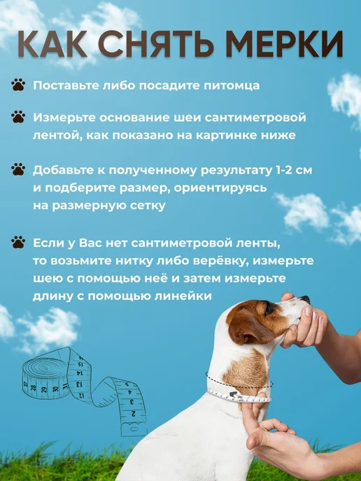Zelie pets Ошейник для собак мелких и средних крупных пород и щенков, коричневый, фото 8