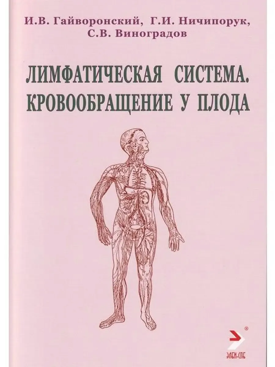 Лимфатическая система. Кровообращение у