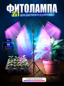 Фитолампа для растений 4 лампы Malina-bty 297178884 купить за 1 933 ₽ в интернет-магазине Wildberries