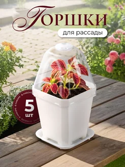 Горшки для рассады Lles 297600861 купить за 470 ₽ в интернет-магазине Wildberries