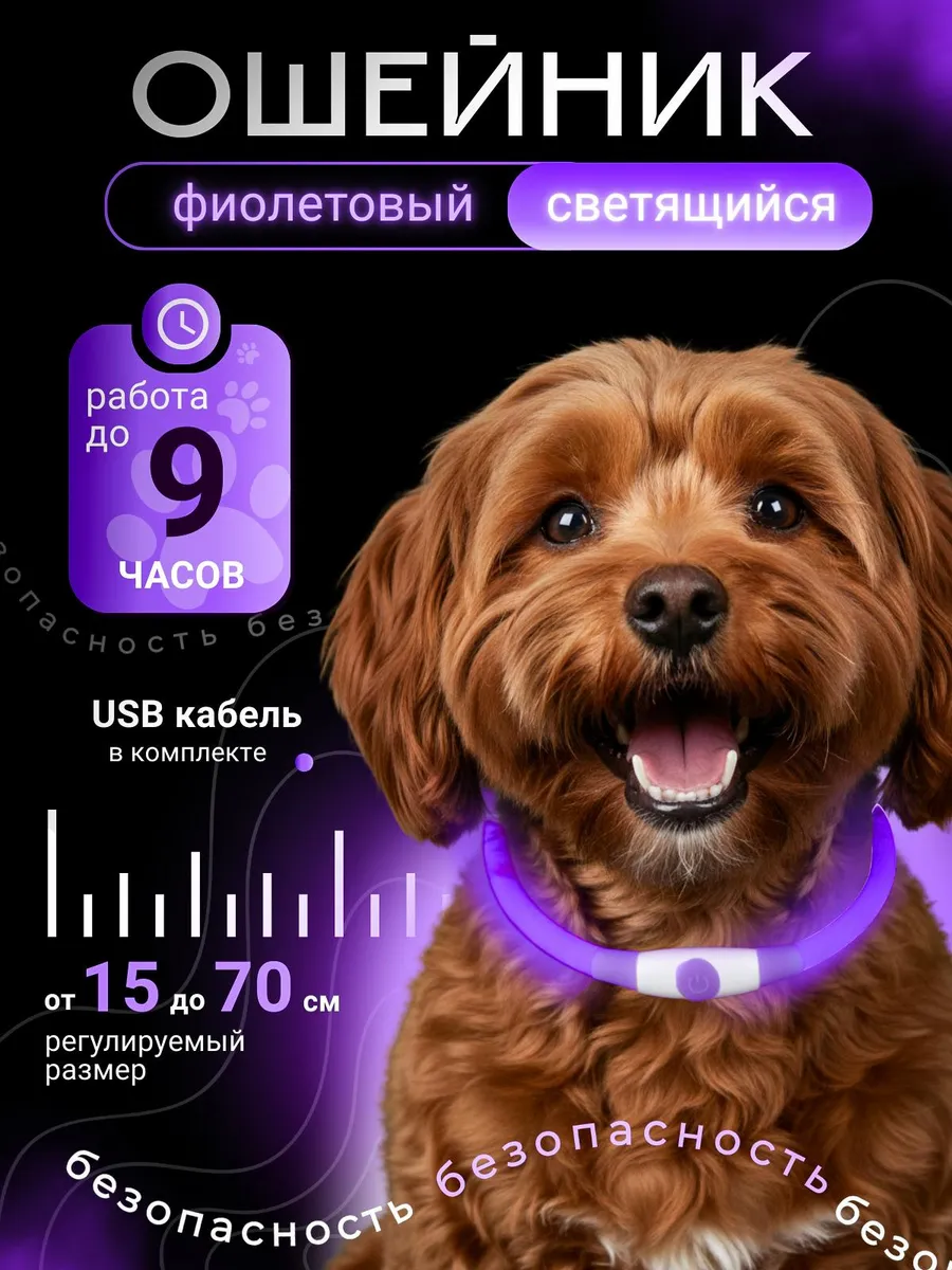 Ошейник светящийся