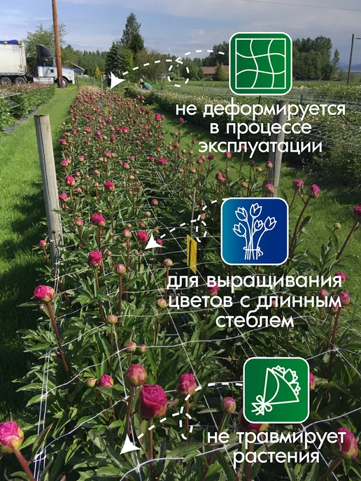 ПРОТЭКТ Сетка для выращивания цветов на срезку 20 м, 20 м, фото 2