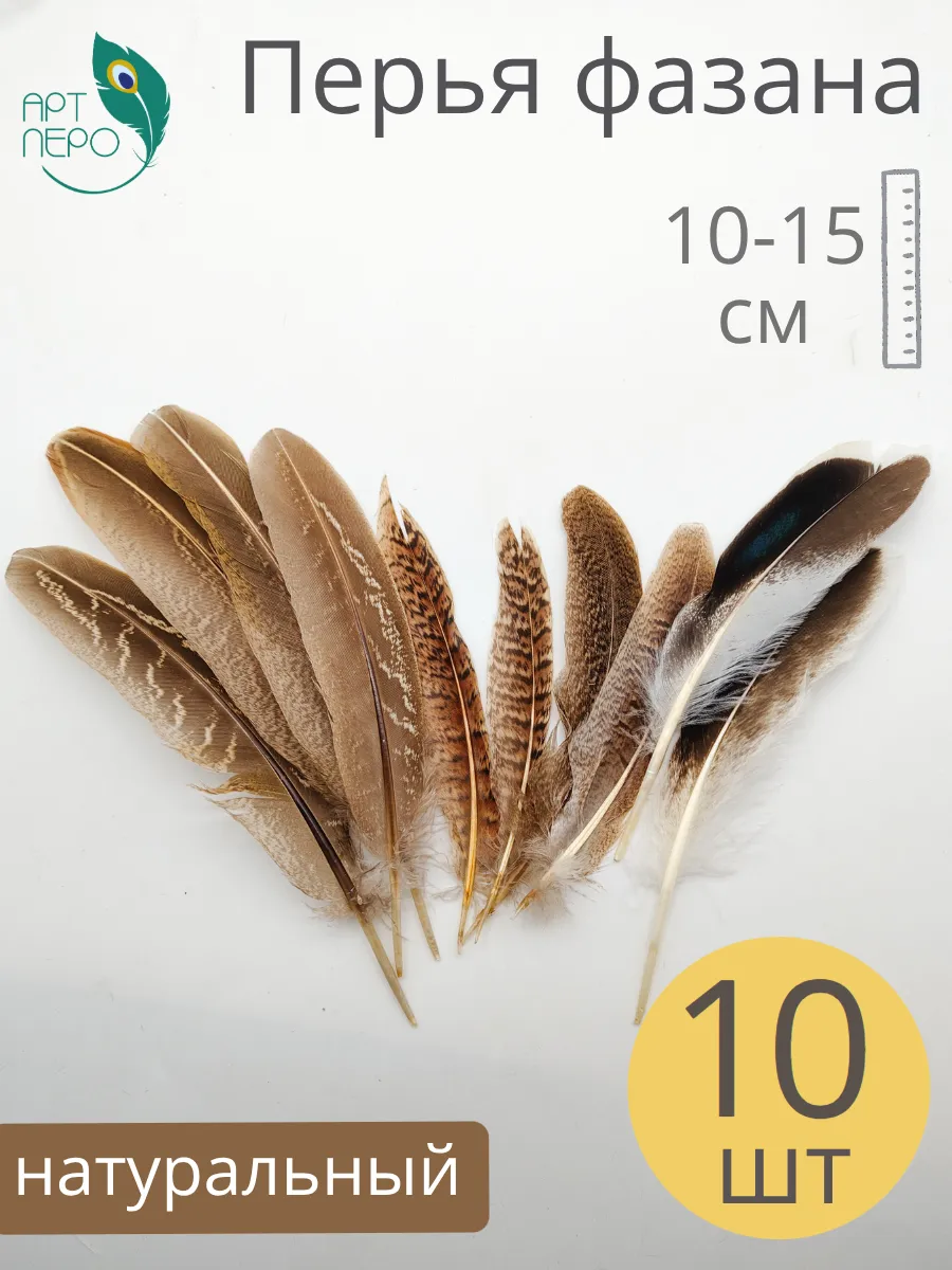 Перья фазана 10-15 см