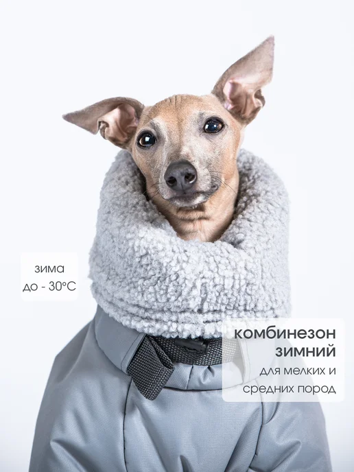 GREYDOG Комбинезон зимний для собак FROST WIND, серый