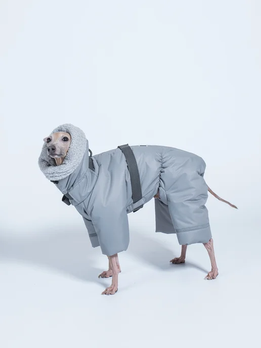 GREYDOG Комбинезон зимний для собак FROST WIND, серый, фото 5