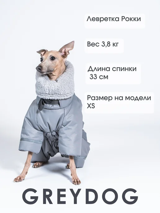 GREYDOG Комбинезон зимний для собак FROST WIND, серый, фото 7