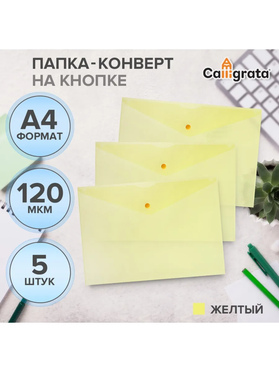 Набор папок-конвертов на кнопке 5 штук, А4, 120 мкм, Calligr