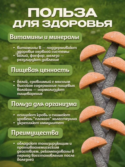 Лесная фея Грибы белые сушеные 50г, 50 г, фото 2