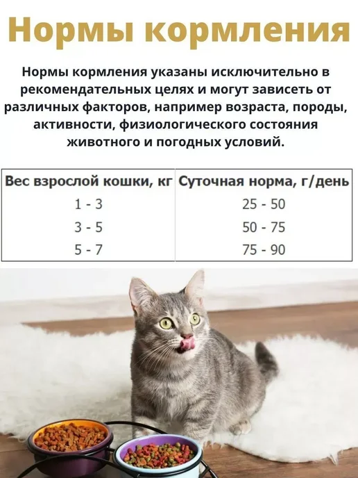 Сухой корм Advance Кошек для собак, стерилизованные, 1,55 кг, фото 4