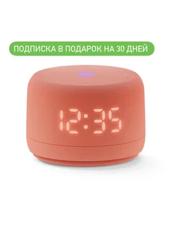 станция лайт 2 Яндекс 298922716 купить за 4 872 ₽ в интернет-магазине Wildberries