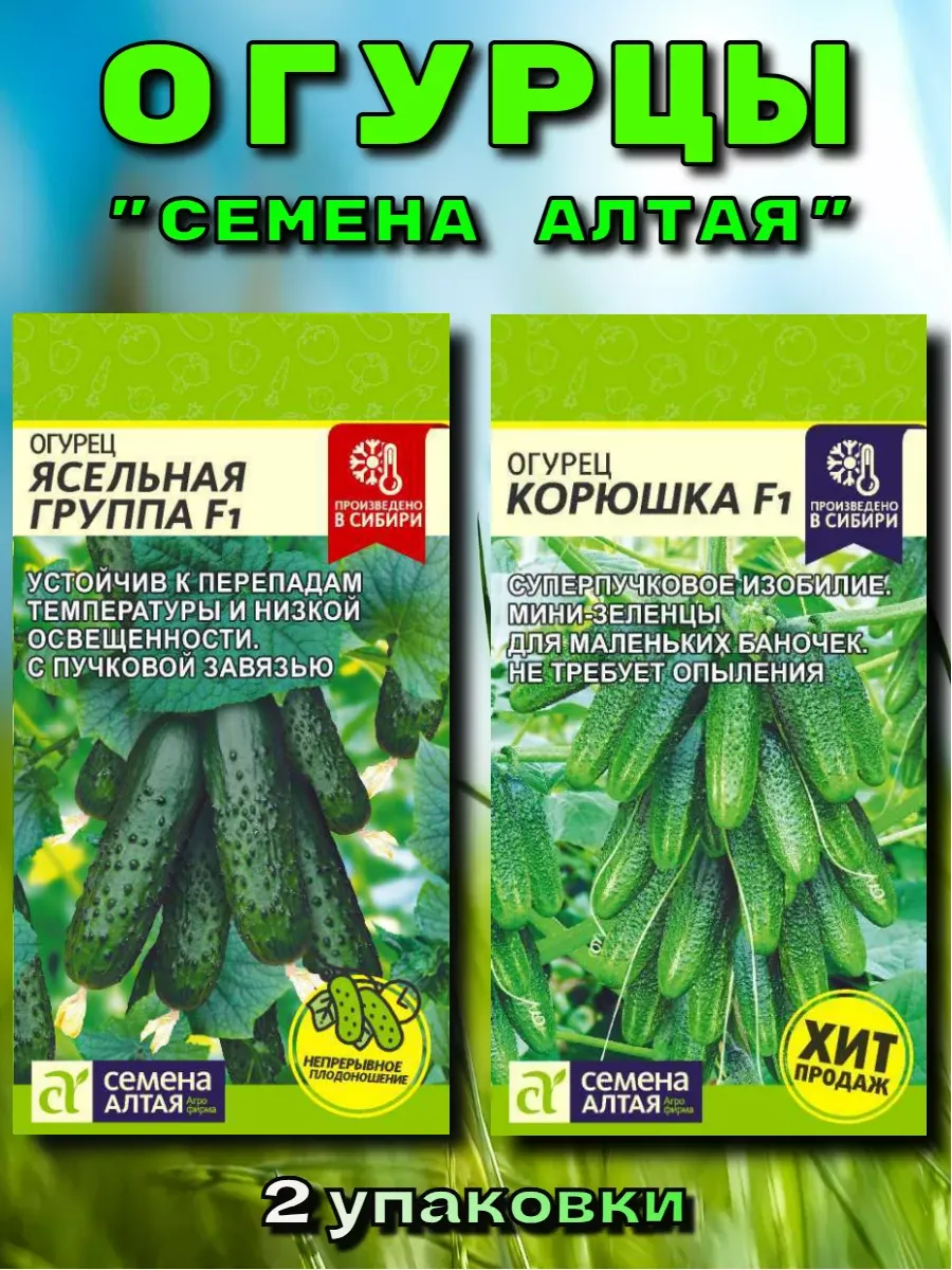 Огурец Ясельная группа, Корюшка F1, 2шт