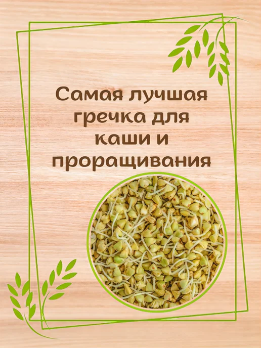 Экопродукты Алтая Зеленая Гречка с Алтая 5 кг, 5 кг, фото 2