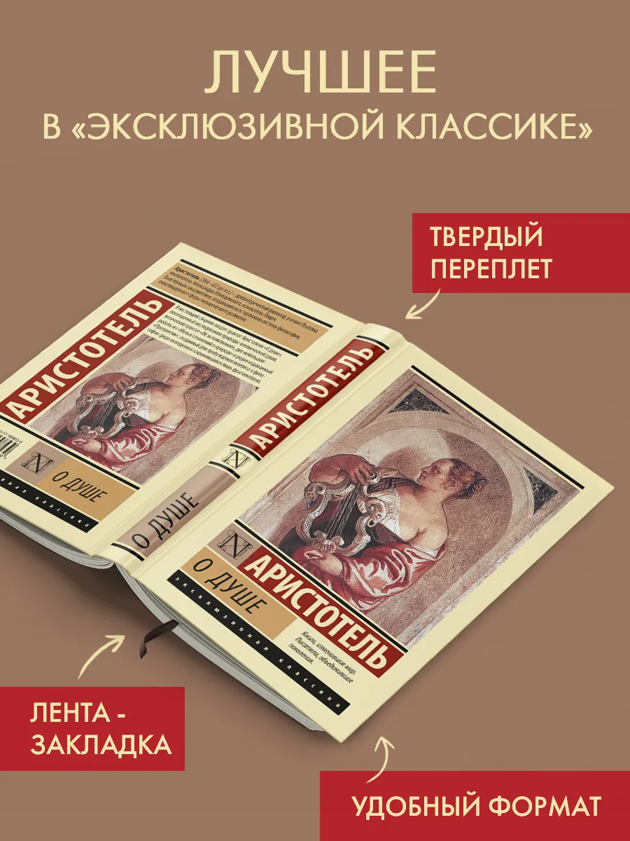 О душе