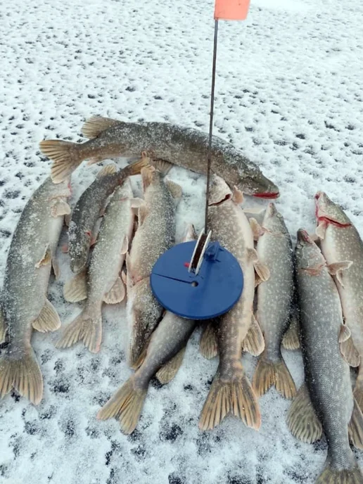 Y&G Fishing Жерлицы оснащенные для рыбалки, вариант, фото 8