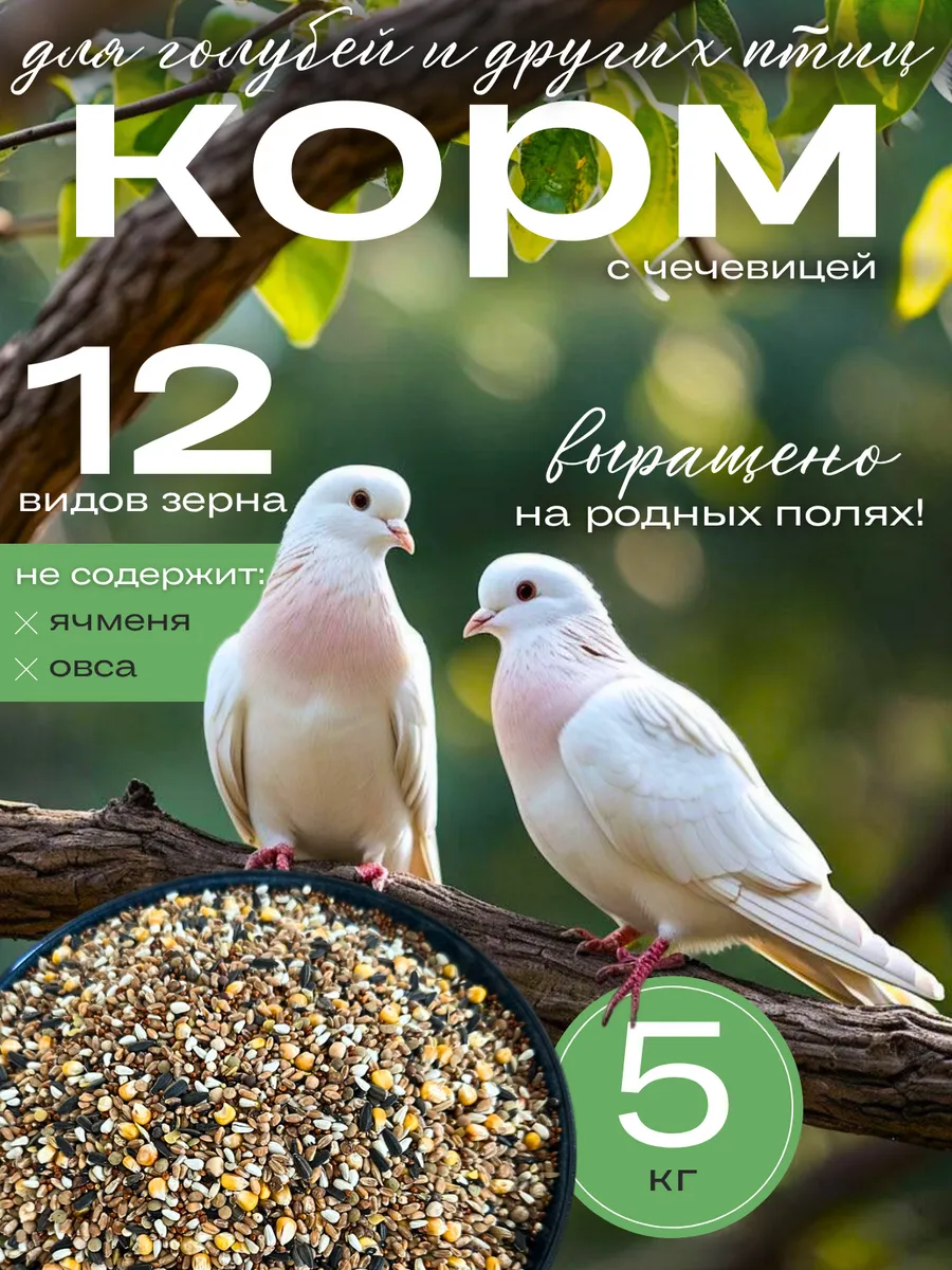 Корм для голубей