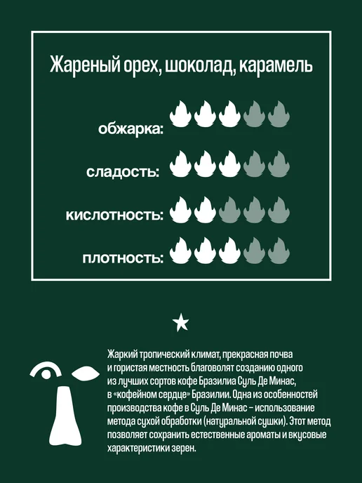 Papa Roast Дрип кофе молотый Бразилия Суль де Минас 10 шт, 5 шт, фото 3