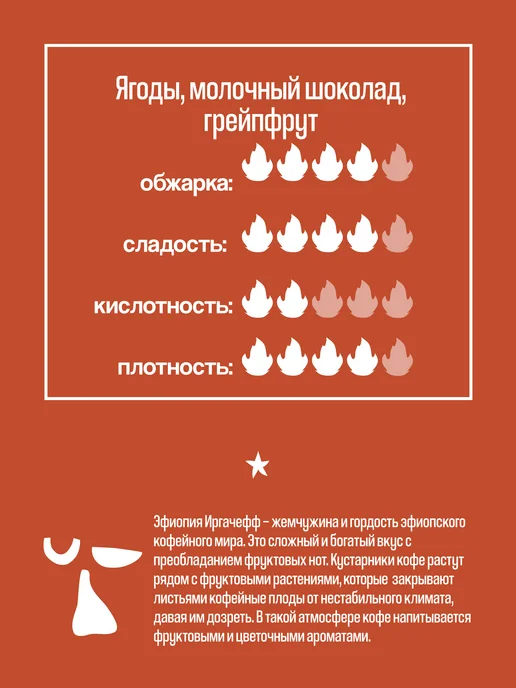 Papa Roast Дрип кофе молотый Эфиопия Иргачефф 10 шт, 10 шт, фото 3
