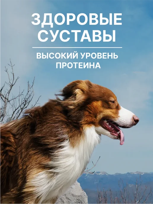 Сухой корм NERO GOLD Super Premium для собак, щенки, ягненок, 3 кг, фото 3